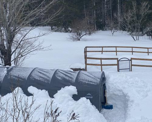Digging Out