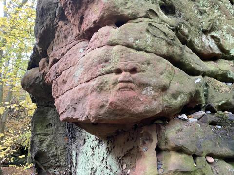 Dunino Face
